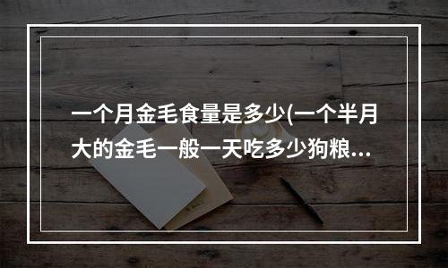 一个月金毛食量是多少(一个半月大的金毛一般一天吃多少狗粮，喝多少水，什么时候可以洗澡？)