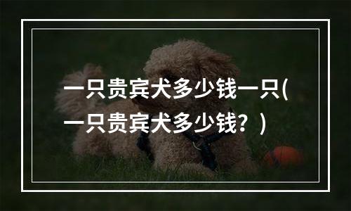 一只贵宾犬多少钱一只(一只贵宾犬多少钱？)