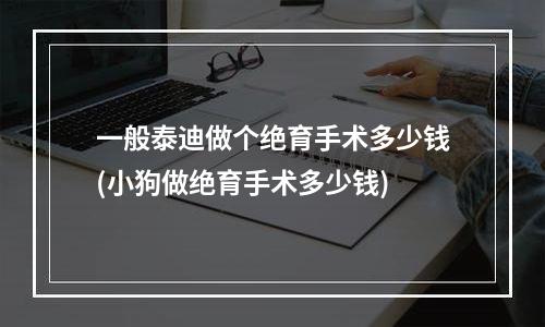 一般泰迪做个绝育手术多少钱(小狗做绝育手术多少钱)