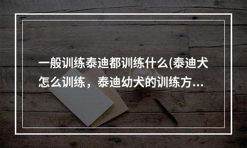 一般训练泰迪都训练什么(泰迪犬怎么训练，泰迪幼犬的训练方法)