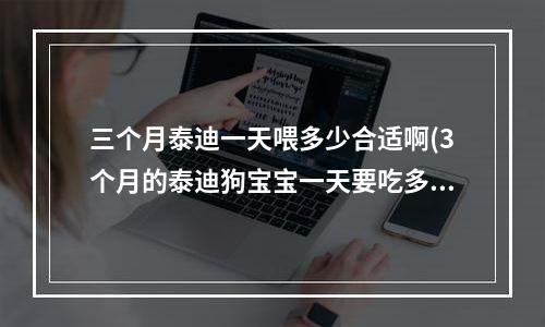 三个月泰迪一天喂多少合适啊(3个月的泰迪狗宝宝一天要吃多少幼犬粮，用一次性杯子比划下吧！)