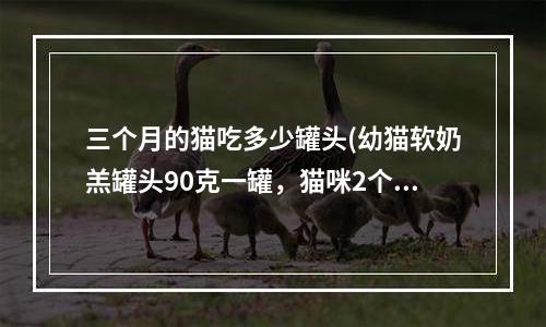 三个月的猫吃多少罐头(幼猫软奶羔罐头90克一罐，猫咪2个月左右，一天喂食多少罐？)