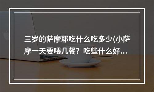 三岁的萨摩耶吃什么吃多少(小萨摩一天要喂几餐？吃些什么好？)