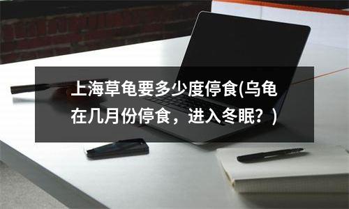 上海草龟要多少度停食(乌龟在几月份停食，进入冬眠？)