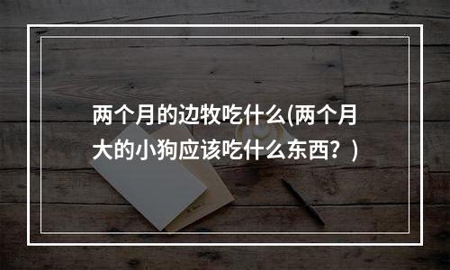 两个月的边牧吃什么(两个月大的小狗应该吃什么东西？)