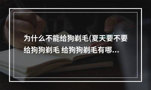 为什么不能给狗剃毛(夏天要不要给狗狗剃毛 给狗狗剃毛有哪些的害处)