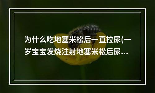 为什么吃地塞米松后一直拉尿(一岁宝宝发烧注射地塞米松后尿频是怎么回事)