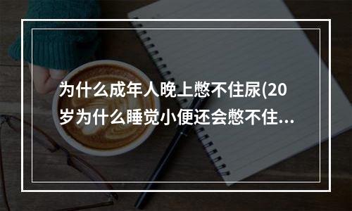 为什么成年人晚上憋不住尿(20岁为什么睡觉小便还会憋不住尿床)