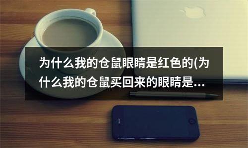 为什么我的仓鼠眼睛是红色的(为什么我的仓鼠买回来的眼睛是红色？)