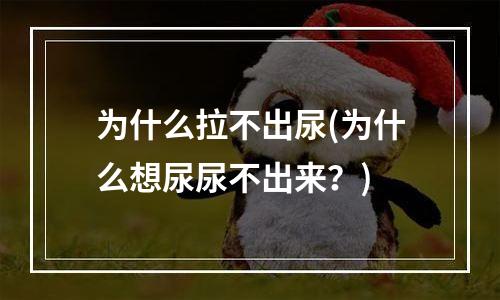 为什么拉不出尿(为什么想尿尿不出来？)