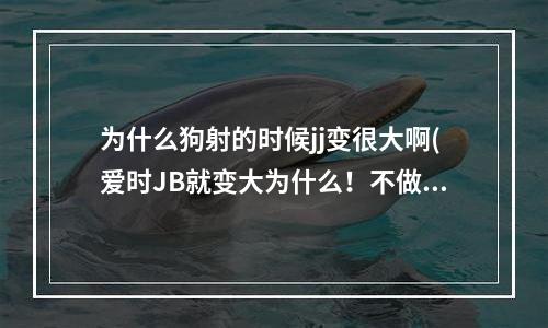 为什么狗射的时候jj变很大啊(爱时JB就变大为什么！不做时就变小)