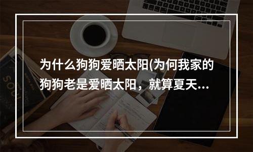 为什么狗狗爱晒太阳(为何我家的狗狗老是爱晒太阳，就算夏天那么热也是的)