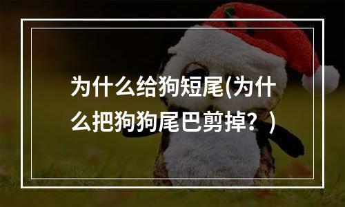 为什么给狗短尾(为什么把狗狗尾巴剪掉？)