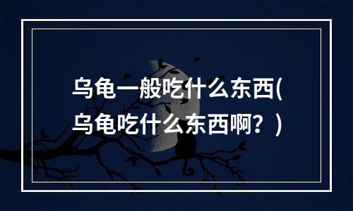 乌龟一般吃什么东西(乌龟吃什么东西啊？)