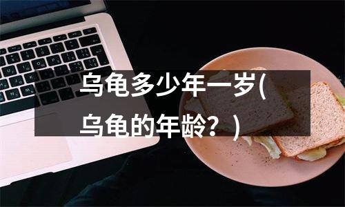 乌龟多少年一岁(乌龟的年龄？)