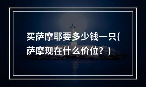 买萨摩耶要多少钱一只(萨摩现在什么价位？)