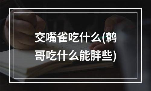 交嘴雀吃什么(鹩哥吃什么能胖些)