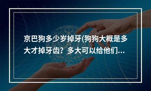 京巴狗多少岁掉牙(狗狗大概是多大才掉牙齿？多大可以给他们买磨牙齿的东西了呢？)