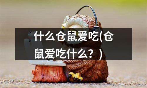 什么仓鼠爱吃(仓鼠爱吃什么？)