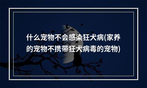 什么宠物不会感染狂犬病(家养的宠物不携带狂犬病毒的宠物)