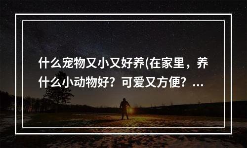 什么宠物又小又好养(在家里，养什么小动物好？可爱又方便？)