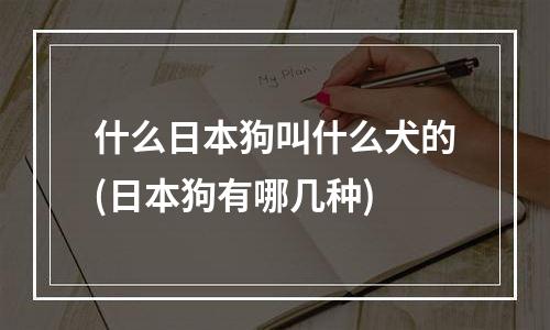 什么日本狗叫什么犬的(日本狗有哪几种)