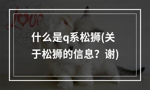 什么是q系松狮(关于松狮的信息？谢)