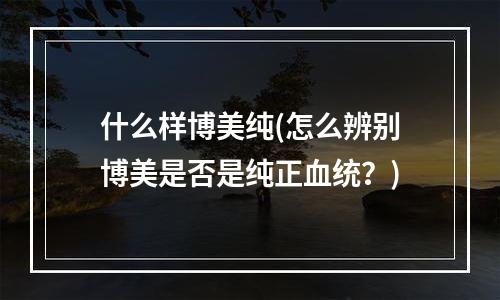 什么样博美纯(怎么辨别博美是否是纯正血统？)