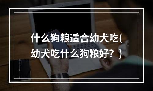 什么狗粮适合幼犬吃(幼犬吃什么狗粮好？)