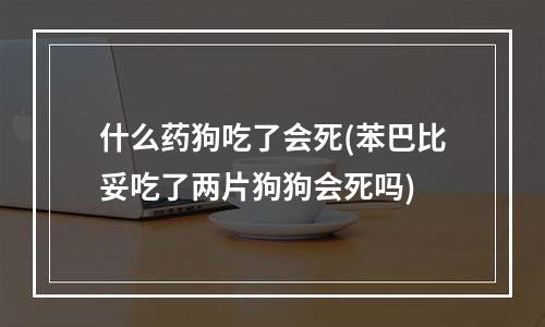 什么药狗吃了会死(苯巴比妥吃了两片狗狗会死吗)