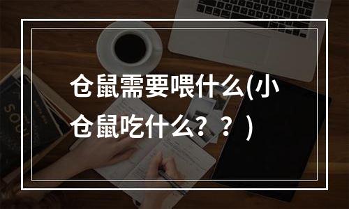 仓鼠需要喂什么(小仓鼠吃什么？？)