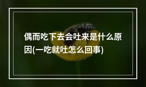 偶而吃下去会吐来是什么原因(一吃就吐怎么回事)