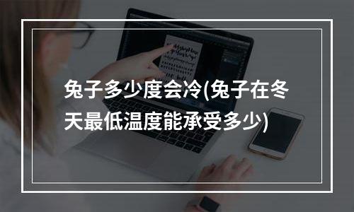 兔子多少度会冷(兔子在冬天最低温度能承受多少)