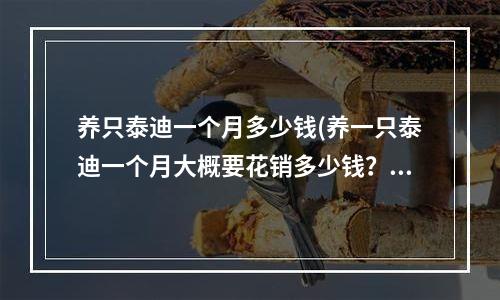 养只泰迪一个月多少钱(养一只泰迪一个月大概要花销多少钱？)