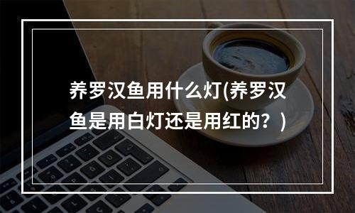 养罗汉鱼用什么灯(养罗汉鱼是用白灯还是用红的？)