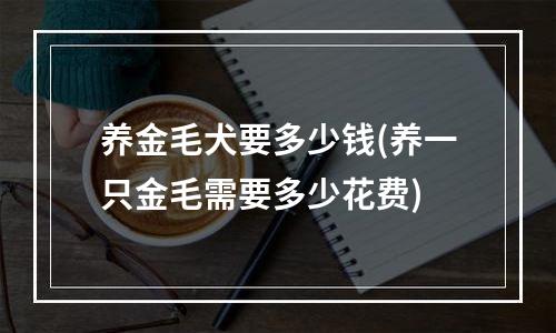 养金毛犬要多少钱(养一只金毛需要多少花费)