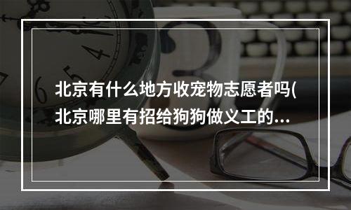 北京有什么地方收宠物志愿者吗(北京哪里有招给狗狗做义工的?)