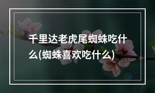 千里达老虎尾蜘蛛吃什么(蜘蛛喜欢吃什么)