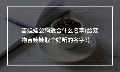 吉娃娃公狗适合什么名字(给宠物吉娃娃取个好听的名字?)