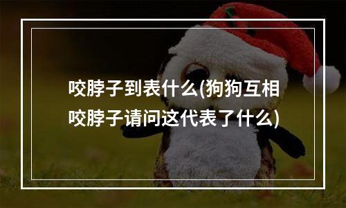 咬脖子到表什么(狗狗互相咬脖子请问这代表了什么)