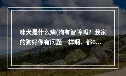 啸犬是什么病(狗有智障吗？我家的狗好像有问题一样啊，都6个月了，)