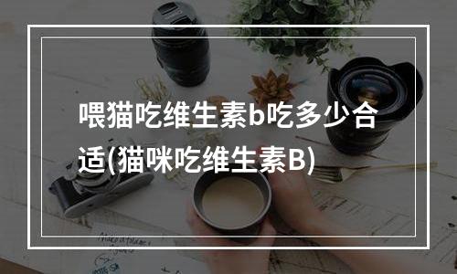 喂猫吃维生素b吃多少合适(猫咪吃维生素B)