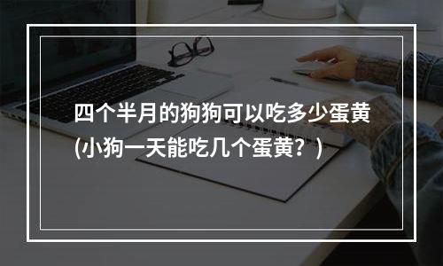 四个半月的狗狗可以吃多少蛋黄(小狗一天能吃几个蛋黄？)