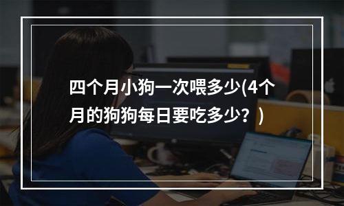 四个月小狗一次喂多少(4个月的狗狗每日要吃多少？)