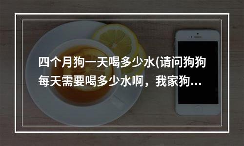 四个月狗一天喝多少水(请问狗狗每天需要喝多少水啊，我家狗狗不太爱喝水，不知道正不正常)