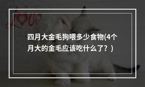 四月大金毛狗喂多少食物(4个月大的金毛应该吃什么了？)