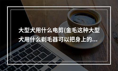 大型犬用什么电剪(金毛这种大型犬用什么剃毛器可以把身上的毛剃得光光的（高分等你拿）)