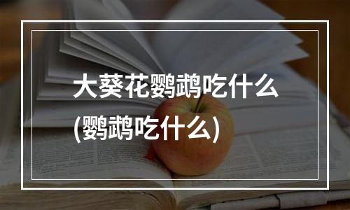 大葵花鹦鹉吃什么(鹦鹉吃什么)