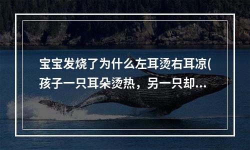 宝宝发烧了为什么左耳烫右耳凉(孩子一只耳朵烫热，另一只却冰凉，是怎么回事)