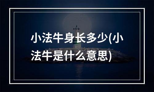 小法牛身长多少(小法牛是什么意思)